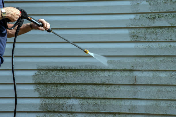 Best Patio and Deck Pressure Washing  in Williams, AZ